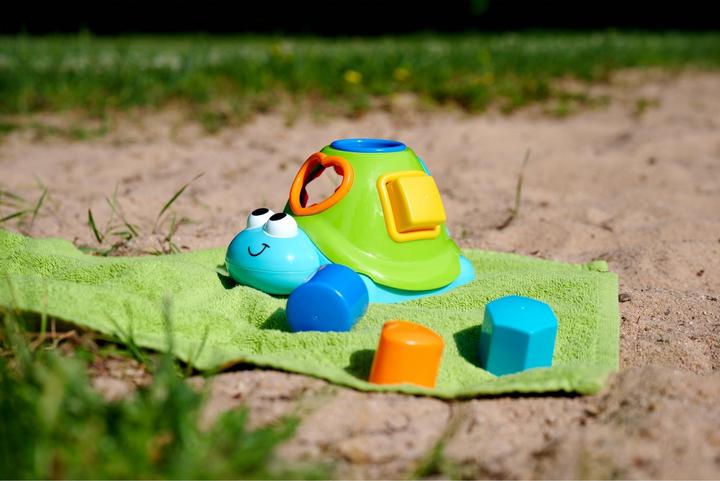 Actual product image ABC swimming turtle