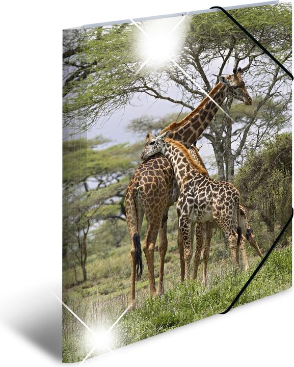 Image du produit HERMA Porte-documents A3 Motif (A3, 1x)