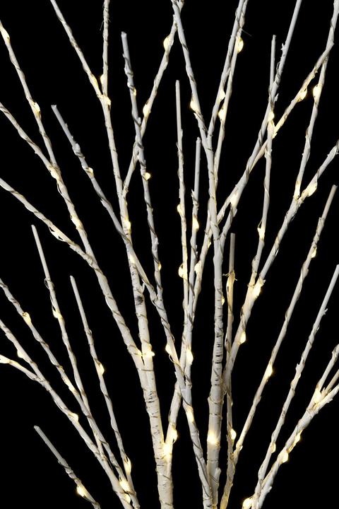 Image du produit STT Set de branches de bouleau