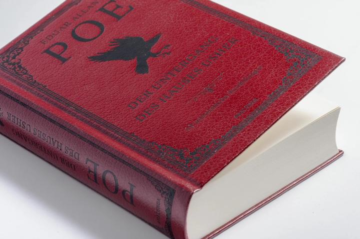 Actual product image Der Untergang des Hauses Usher. 19 unheimliche Erzählungen (German, Edgar Allan Poe, Gisela Etzel, 2023)