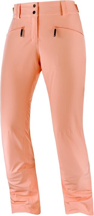 Actual product image Salomon Edge Pant W (XL)