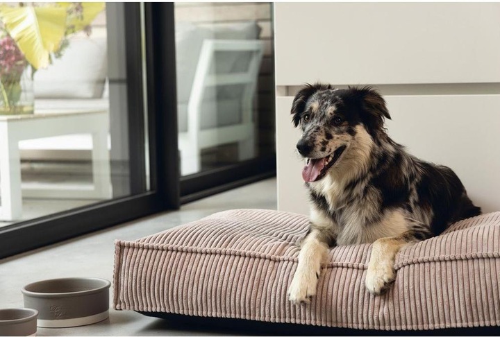 Productafbeelding Designed by Lotte Geribbeld (Hond)
