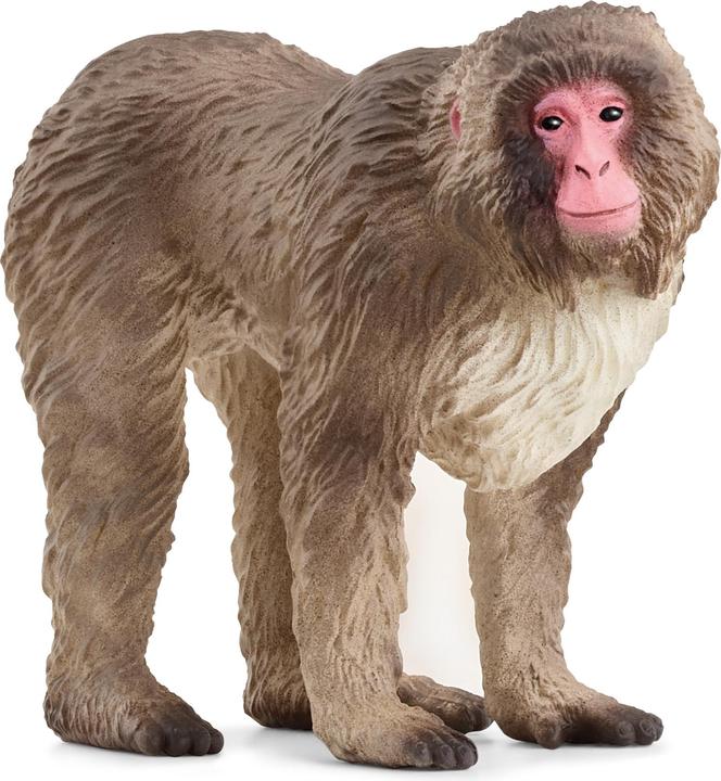 Actual product image Schleich Japanese macaque