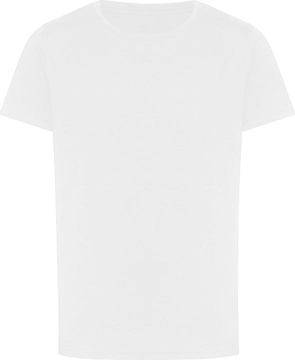 Produktbild Awdis The 100 TShirt (128)