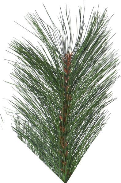 Produktbild Star Trading Kerzenleuchter Navida
