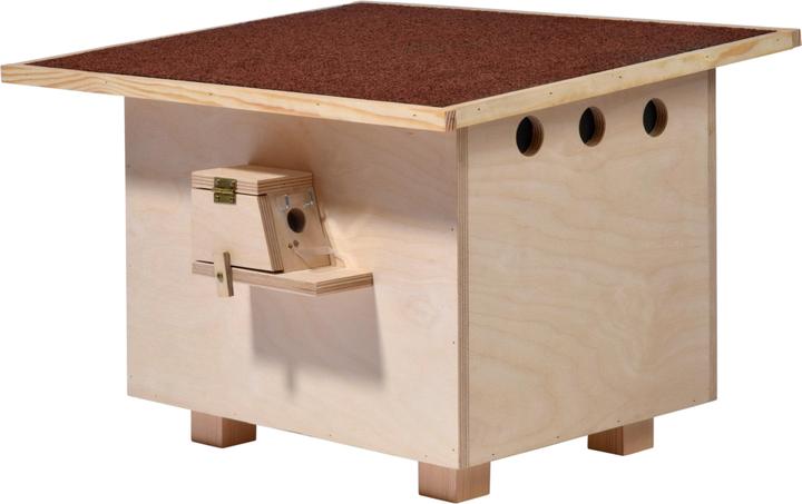 Dobar Box professionale per bombi (Calabroni)