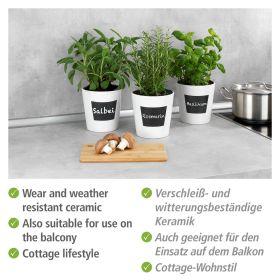 Actual product image Wenko Waia herb pot (13 x 13.50 cm)