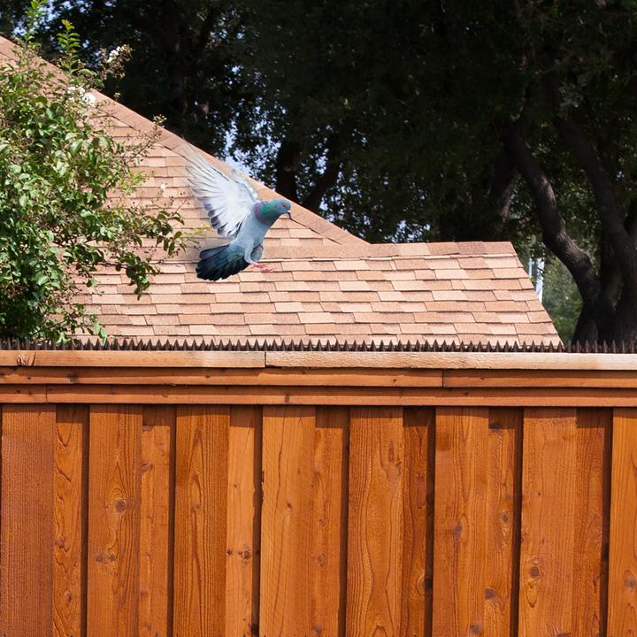 Image du produit Relaxdays Pics anti-pigeons