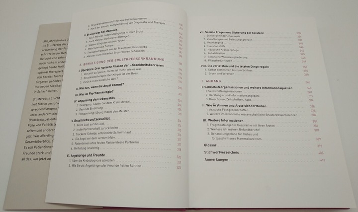 Produktbild Brustkrebs - Alles, was jetzt wichtig ist (Deutsch, Ludger Wahlers, Nadia Harbeck, 2022)