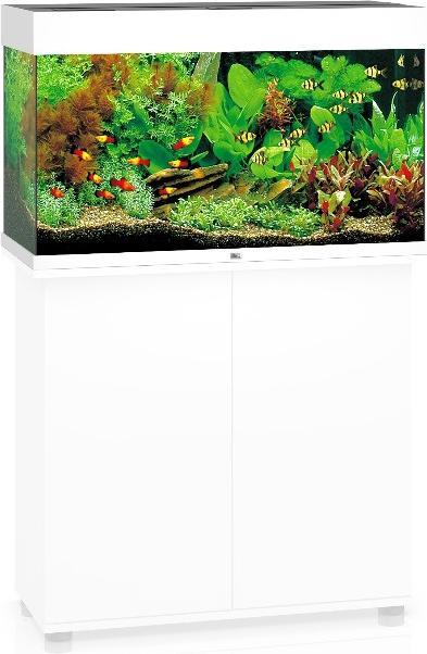 Immagine prodotto Juwel Aquarium Rio (125 l)