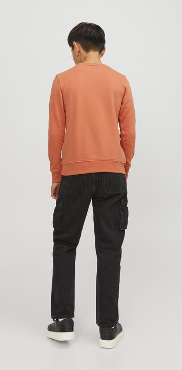 Produktbild Jack & Jones Boys Crew Neck Sweatshirt (176)