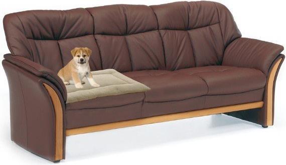 Image du produit Swisspet Arion (Chat, Chien)