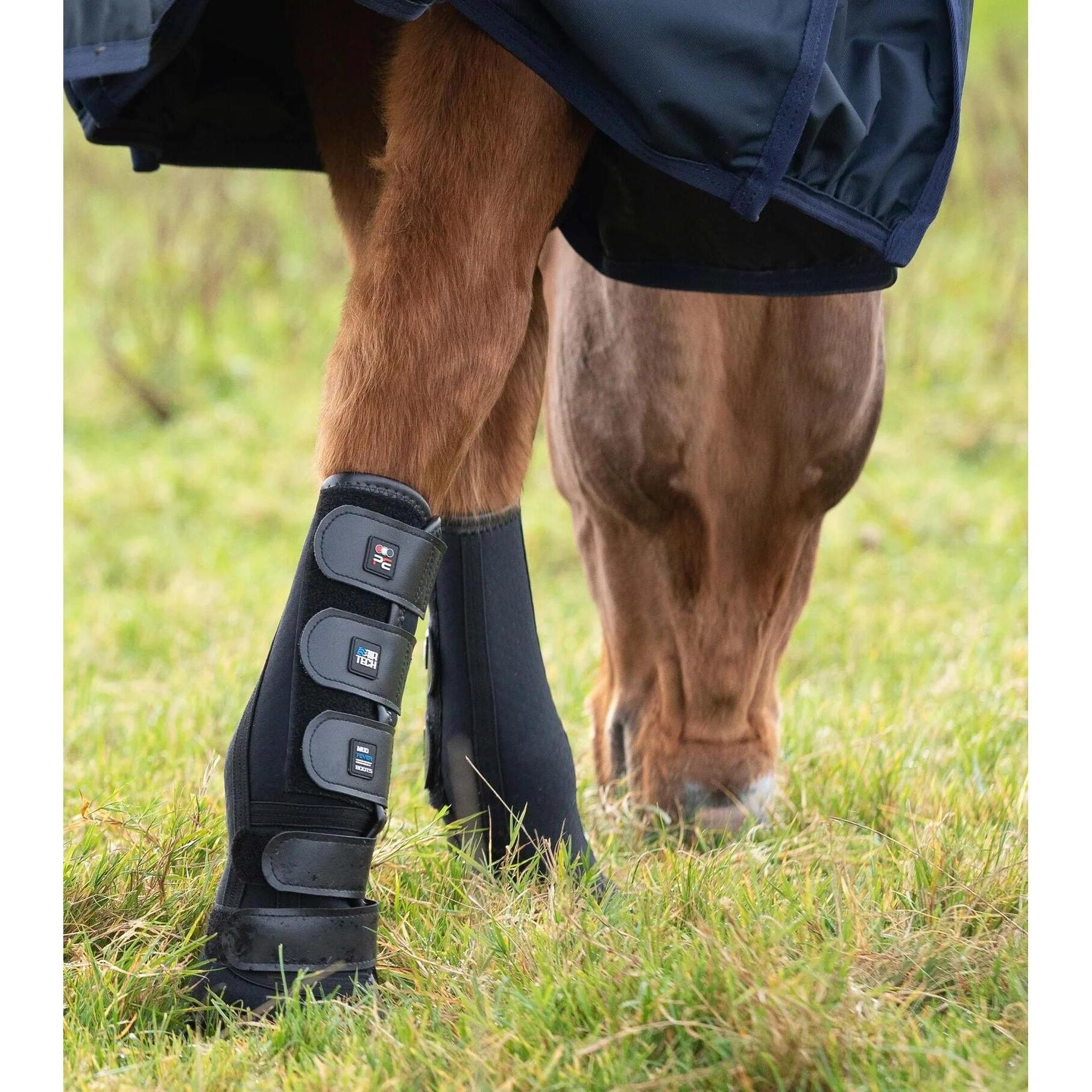 Thumbnail - Premier Equine, Pferdebeinschutz