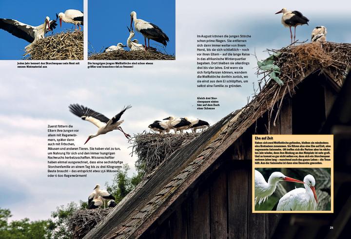 Immagine prodotto Entdecke die Störche (Tedesco, Thomas Schmidt, 2016)