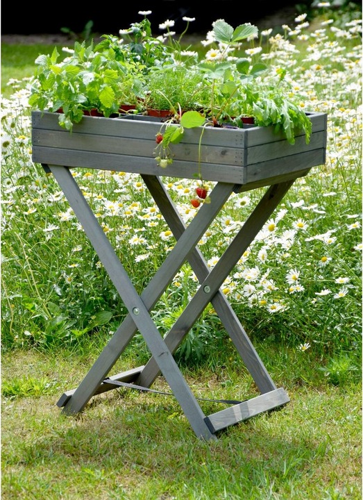 Image du produit Dobar Parterre d'herbes aromatiques
