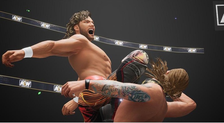 Actual product image THQ AEW: Fight Forever (PS4, EN)