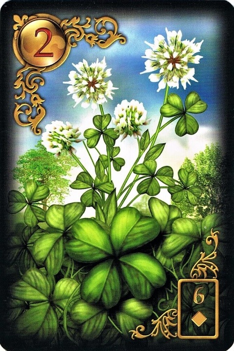 Produktbild Gilded Reverie Lenormand (Deutsch)