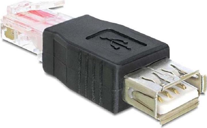 Delock USB Buchse > RJ45 Stecker (0.06 m, USB 2.0)