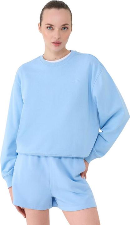 Produktbild 4F WMM00TSWSF1765 Sweatshirt (M)