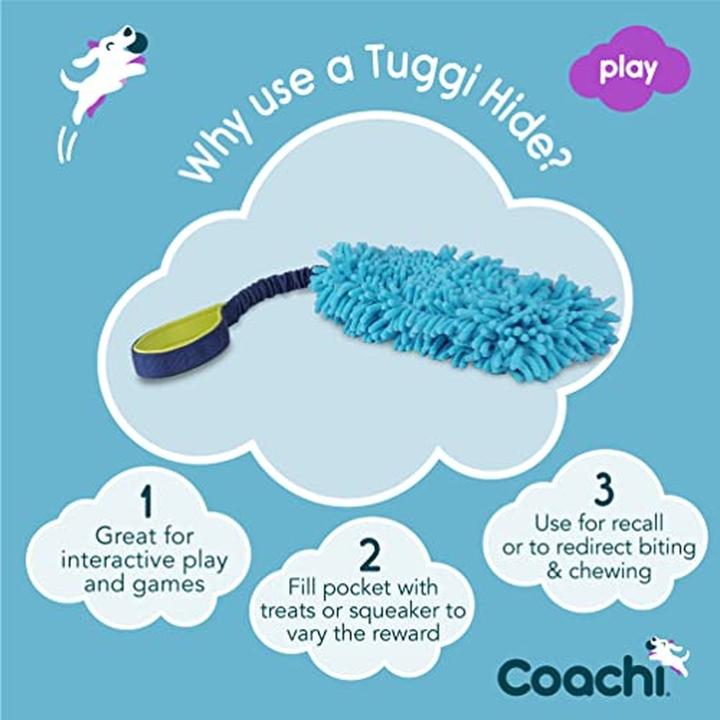 Actual product image Company of Animals Coachi reward game Tuggi Hide (Dog activity toy)