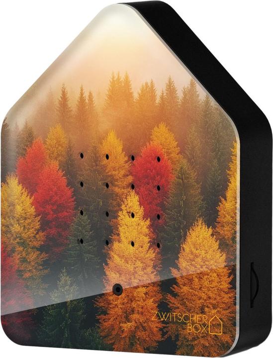 Produktbild Angela Bruderer Zwitscherbox «Wald»