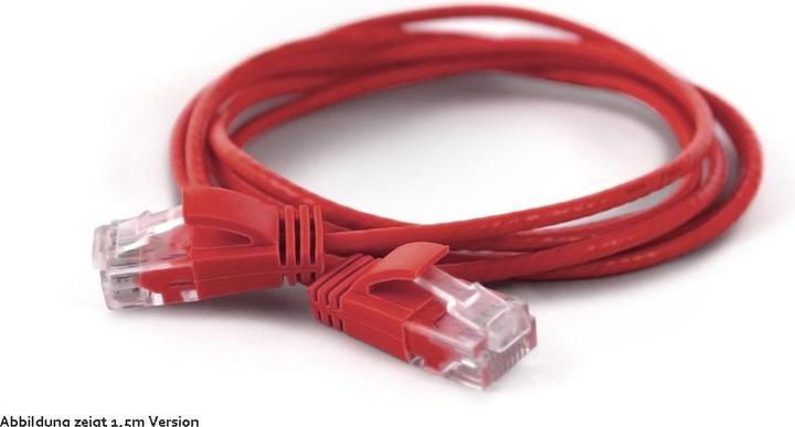 Rot