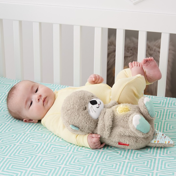 Actual product image Fisher-Price Slumber Otter (20.30 cm)