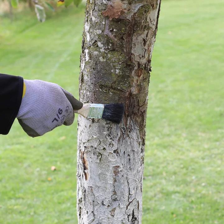 Actual product image Andermatt Biogarten Stammanstrich (Frost moth)