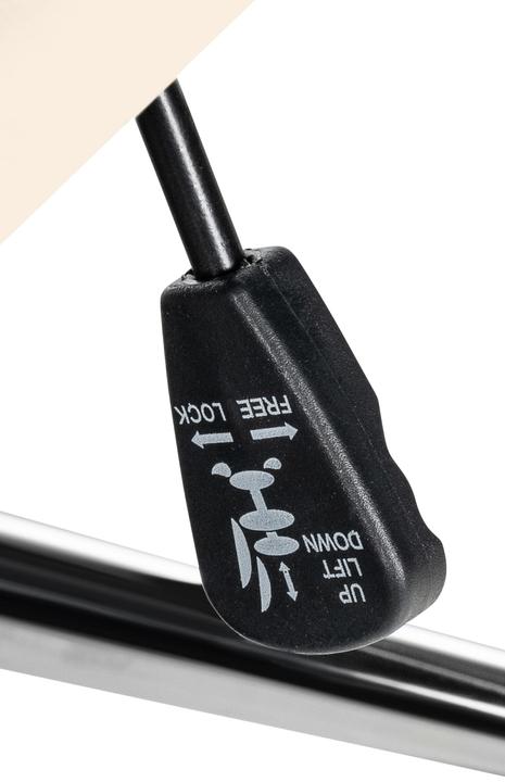 Actual product image CLP Mollis