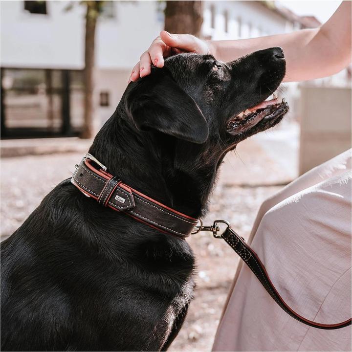 Produktbild Hunter Halsband Canadian Up für Hunde Schwarz M (M, Hund, Allgemein)