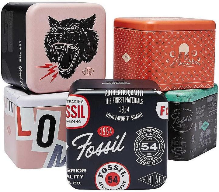 Produktbild Fossil Heritage Ohrringe (Edelstahl)