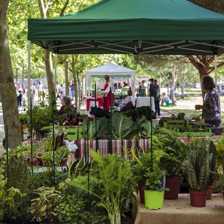 Produktbild Relaxdays 25x Pflanzstäbe (1 cm, 1 cm)