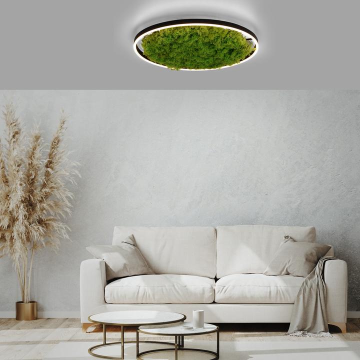 Produktbild Leuchten Direkt Green Ritus (3650 lm)
