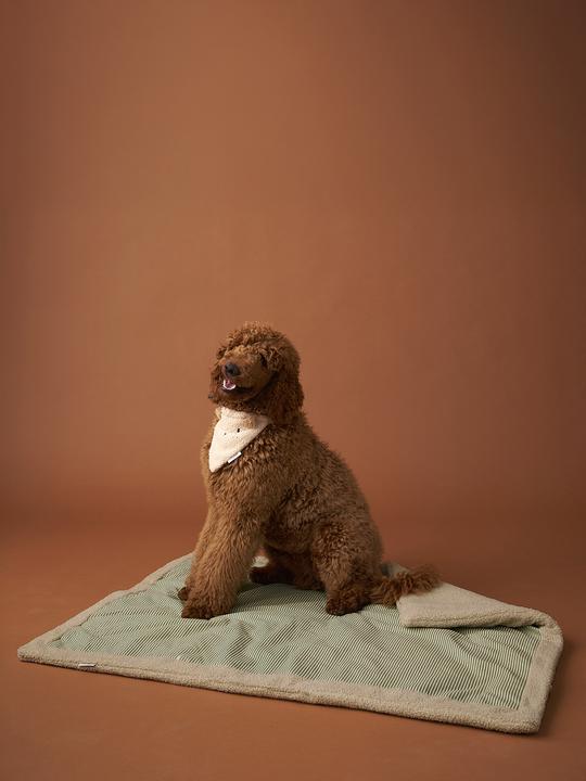 Immagine prodotto Vertbaudet Wendbare Hundedecke, Liegedecke (Cane)