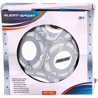 Produktbild Trainingsball+Verstellb. Schnur Gr. 2 Sort.