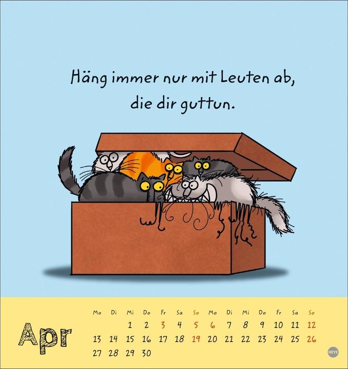 Produktbild Catzz Postkartenkalender 2026 (Postkartenformat)