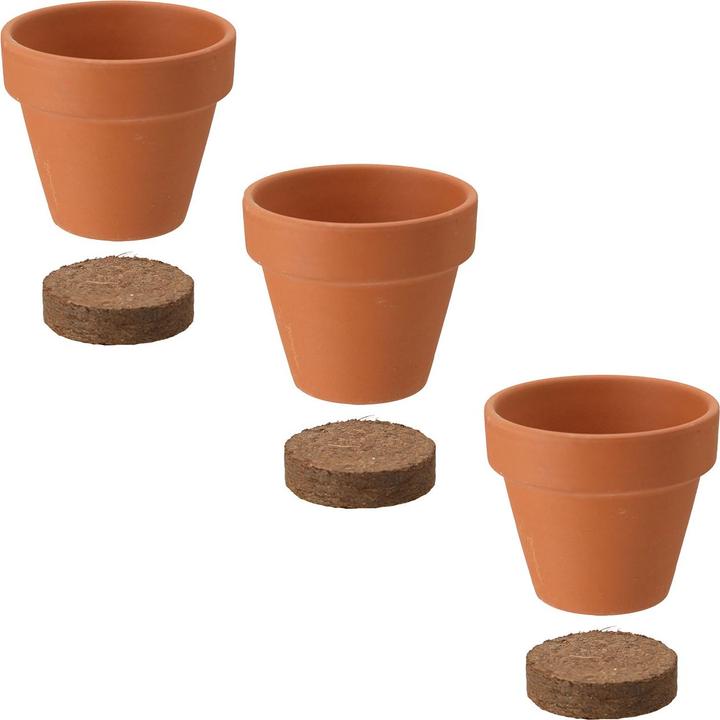 Image du produit ProGarden Mini Gewächshaus mit Anzuchtset - Tomate, Erdbeer und Chilis