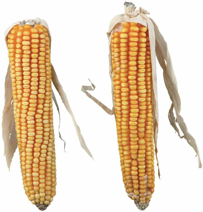 Produktbild Trixie Maiskolben (2 Stk., 0.25 kg)