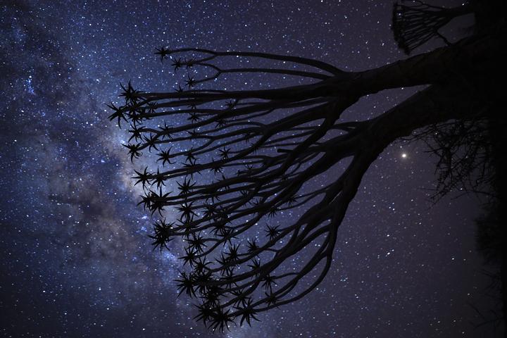 Image du produit Canon RF 28-70mm f/2L USM (Canon RF, Plein format)