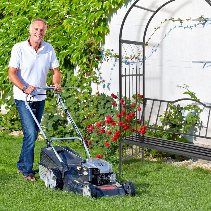 Produktbild Relaxdays Rosenbogen (59 cm, 114 cm)