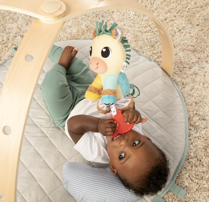 Actual product image Tomy Clip & Go Cheval