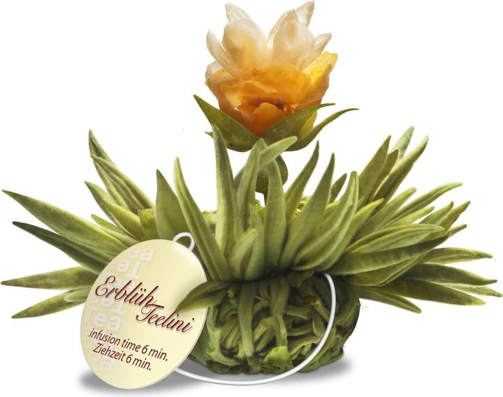 Produktbild Creano Erblühteelini 8er Set (40 g)