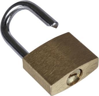Produktbild Basil Side Lock Pin