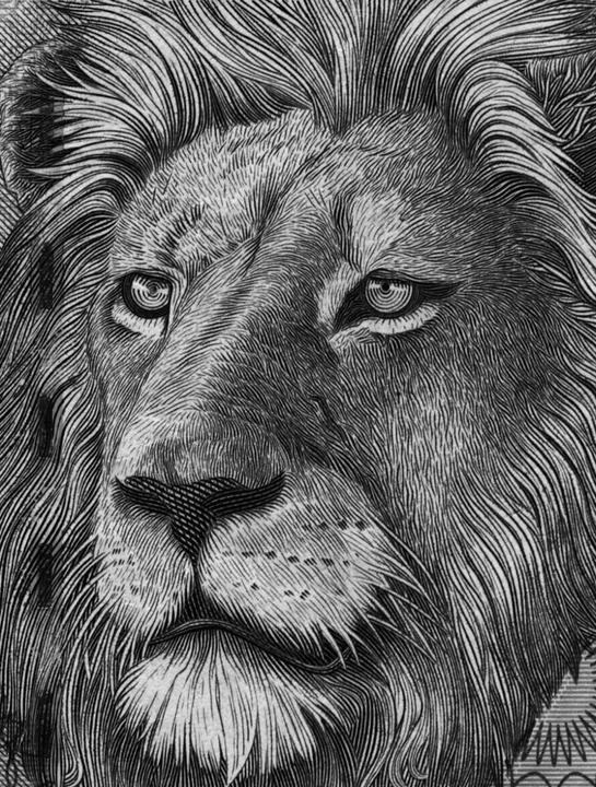 Produktbild Money (Englisch, Cremers, PrillVieceli, 2015)