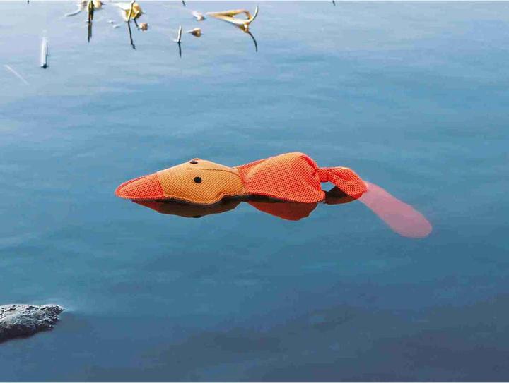 Produktbild Trixie Schwimmente, Polyester, 50cm (Apportieren)