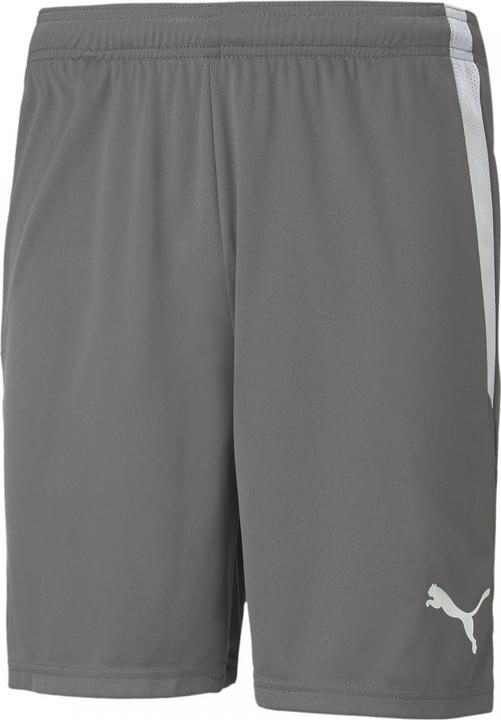 Image du produit Puma Short teamLIGA-704924 (L)