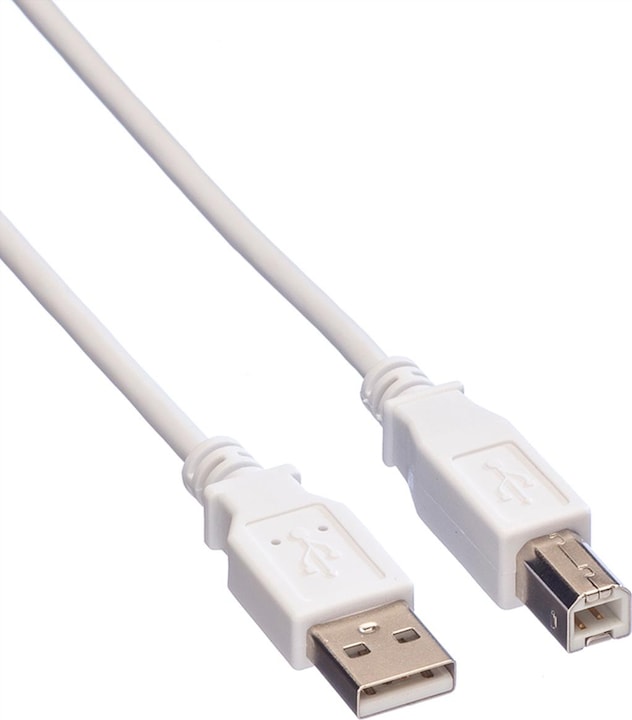 Actual product image Value USB 2.0 (1.80 m, USB 2.0)
