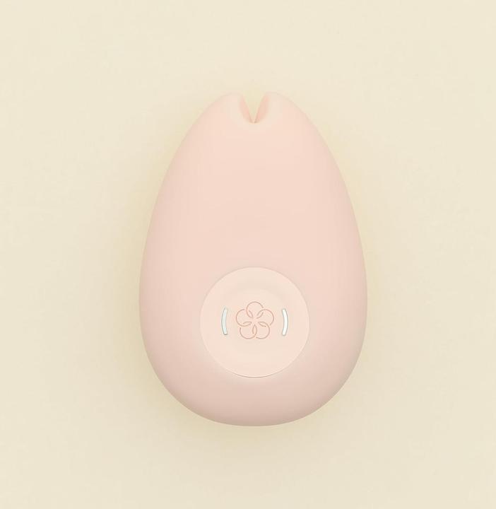 Actual product image Iroha Sakura