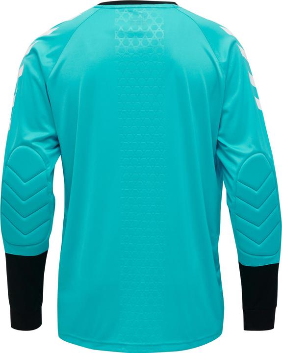 Actual product image hummel Essential Gk Jersey (40, 42, 44, 46, 48, 50, 52)