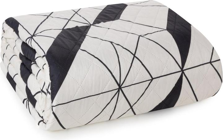 Produktbild Eurofirany D91/N/GEO/01 220X240